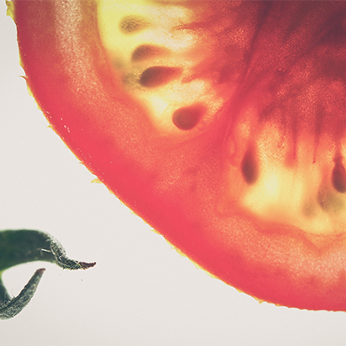 Der sogenannte Fruitflow®, der aus der Tomate gewonnen wird: Er trägt dazu bei, dass die Blutplättchen geschmeidig bleiben und ihre normale Oberflächenstruktur beibehalten.